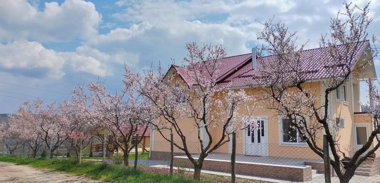 Conacul Mierii Villa Straseni Ngoại thất bức ảnh