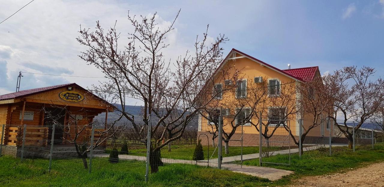 Conacul Mierii Villa Straseni Ngoại thất bức ảnh