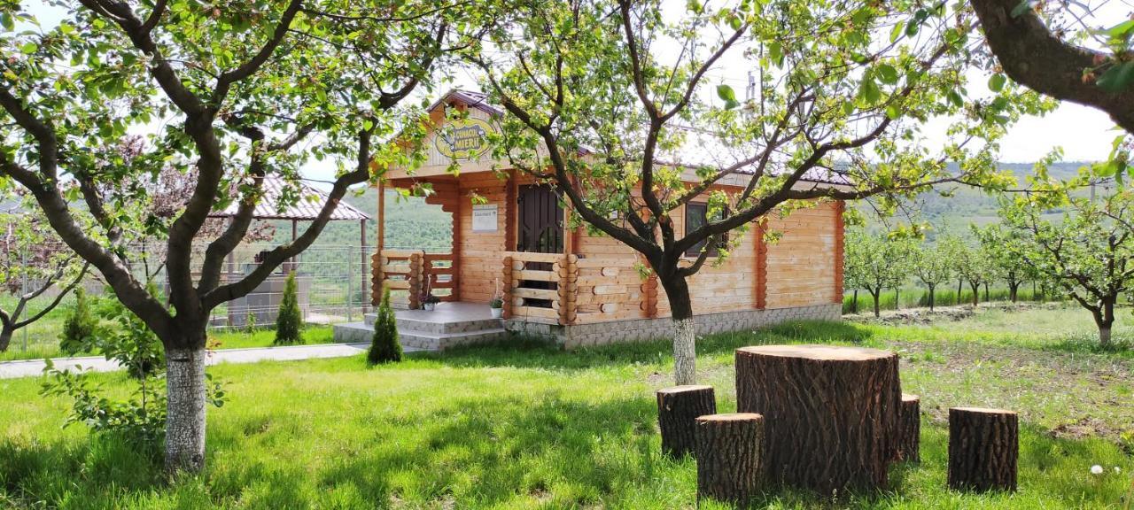 Conacul Mierii Villa Straseni Ngoại thất bức ảnh