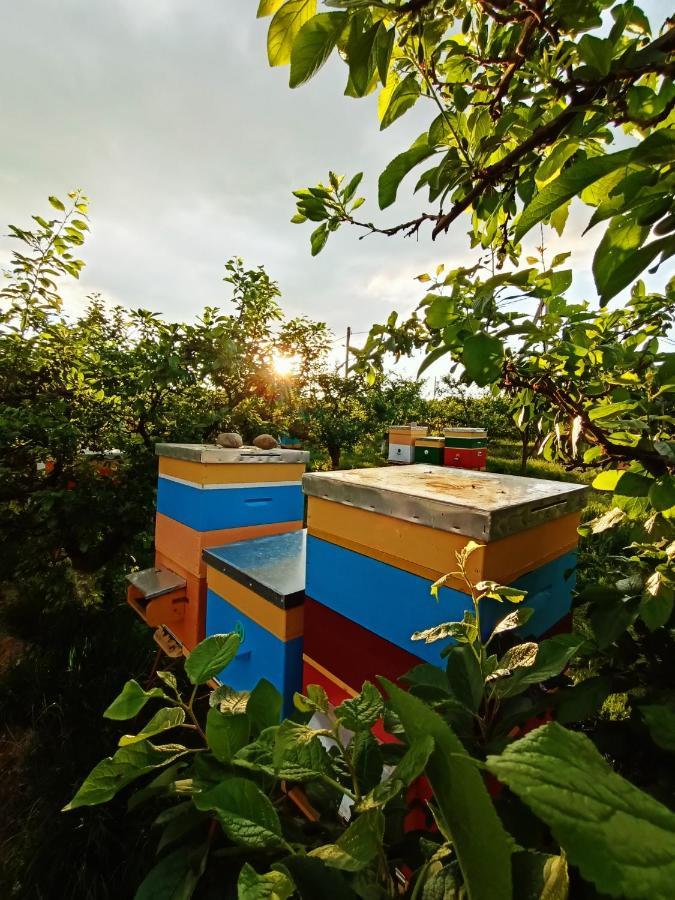 Conacul Mierii Villa Straseni Ngoại thất bức ảnh